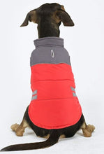 Load image into Gallery viewer, Warm Pet Dog Coats Jacket